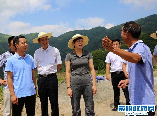 8月15日，在洄水镇调研农业园区建设0.jpg