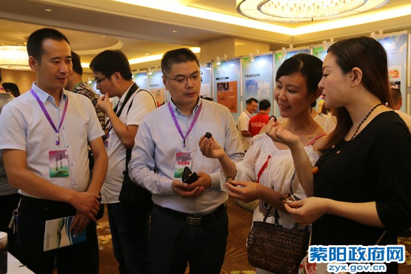 IMG_3187_爱奇艺.jpg