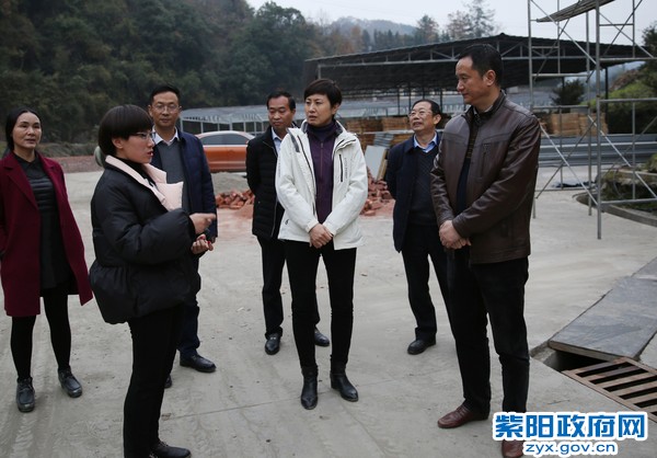 11月28日，县长陈莲在舍顿茶业调研.jpg