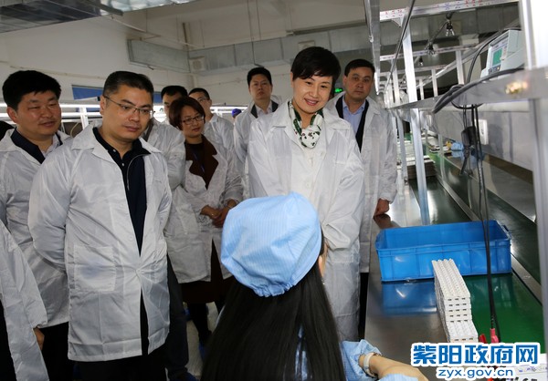 陈县长看望一.jpg