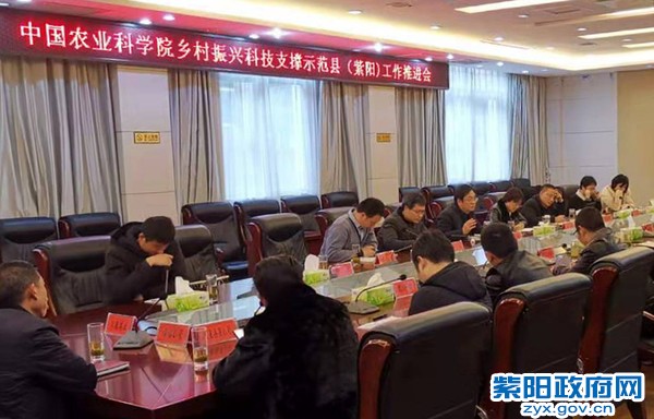 杨所长来紫考察座谈会.jpg