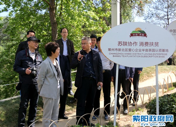 2019年4月17日，在向阳镇营梁村茶园观光园向常州市新北区人大常委会来紫考察团介绍苏陕协作消费扶贫情况.JPG