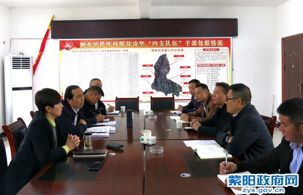 到洄水镇桦栎村调研脱贫攻坚_副本.jpg