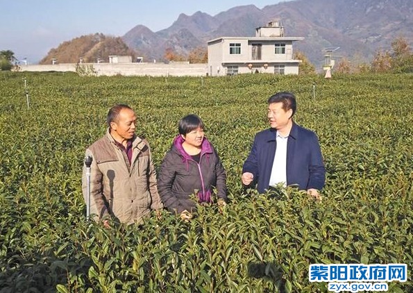 QQ图片20191212110149.jpg