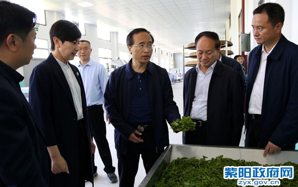 4月26日，陪同鲁琦副市长在宏威茶业调研.jpg