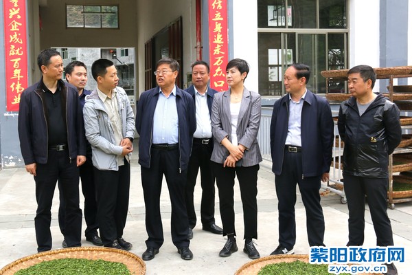 5月11日，陪同省农业农村厅党组成员、副厅长宁殿林来紫调研茶产业发展工作.jpg