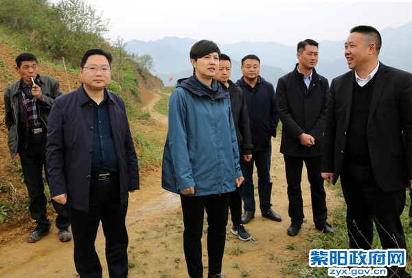 4月22日，在瓦庙镇群发农业园区调研.jpg
