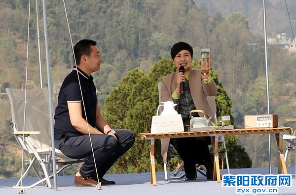 陈县长推介紫阳富硒茶.jpg