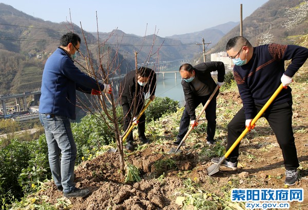 3月12日，参加义务植树活动——陈刚  摄.jpg