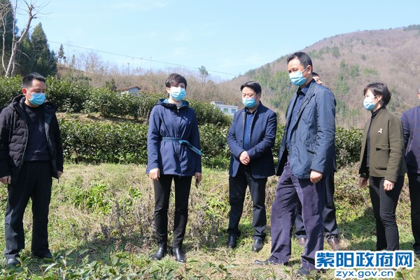 3月4日，在宏威茶叶有限公司调研茶叶产业2.jpg