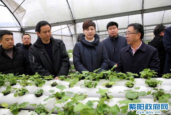 12月21日，在湖北省恩施州农科院考察.jpg