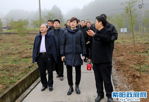 12月22日，在重庆市万州区太安镇花果山考察农旅融合产业项目.jpg
