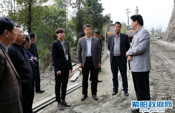 11月5日，视察新桃村村级公路工程改造.jpg
