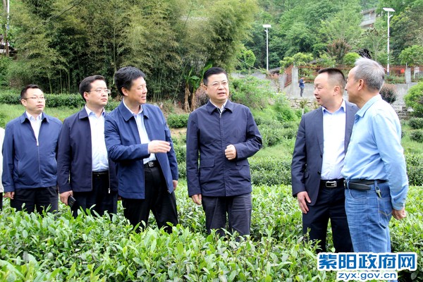 2019年4月30日，市委常委、组织部部长在双桥镇解放村调研基层组织建设_副本.jpg