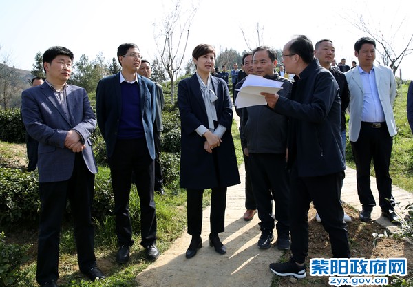 3月25日，检查第二届“春之茶”紫阳富硒茶开园仪式筹备情况.jpg