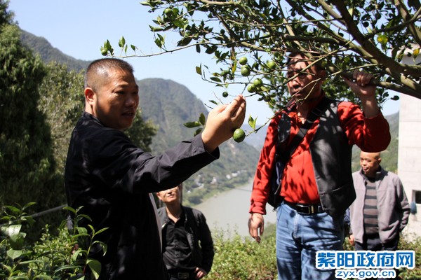 IMG_1267_副本.jpg