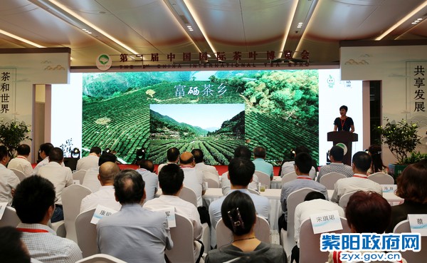 陈县长推介发言一.jpg