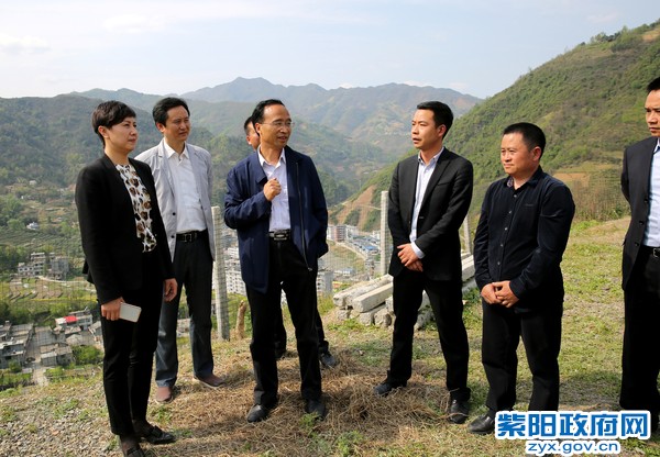 3月28日，陪同副市长鲁琦在洄水镇科宏茶业农业园区调研.jpg