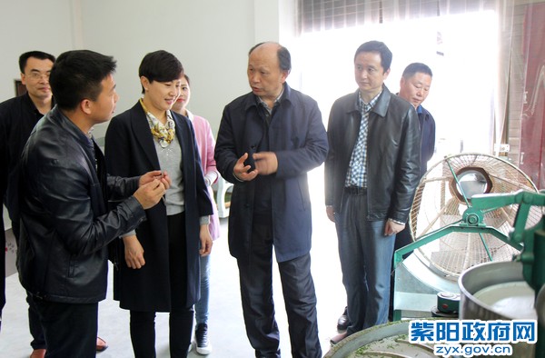 3月27日，陪同省移民办主任在向阳茶厂调研2.jpg