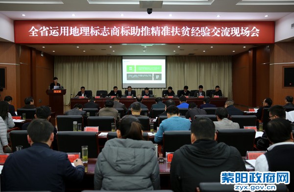 大会现场.jpg