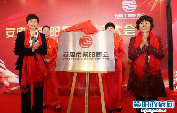 10月31日，为安康市紫阳商会揭牌.jpg