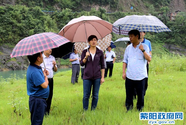 8月30日，调研重点市政和文化旅游项目2.jpg