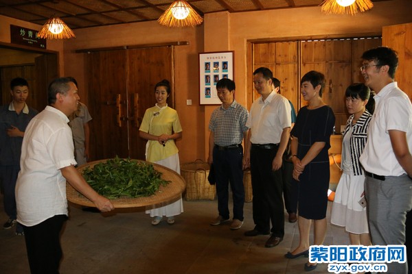 IMG_2681_爱奇艺.jpg