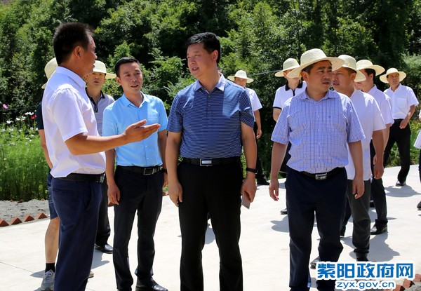 8月9日，带队在洄水镇团堡村调研.jpg