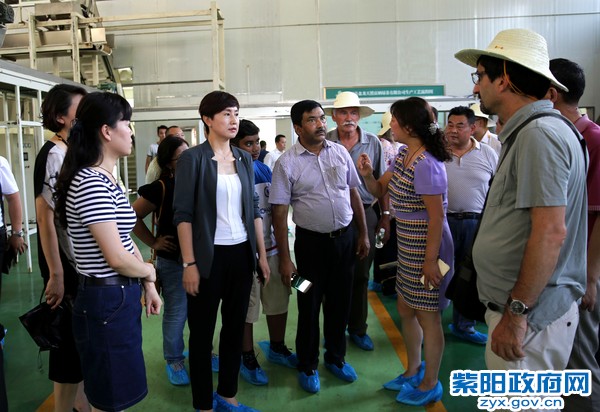 7月10日，陪同国际茶叶专家在盘龙茶业考察.jpg