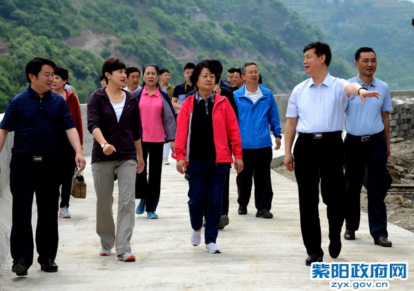 5月24日，原省人大常委会副主任黄玮调研硒茶小镇建设.jpg