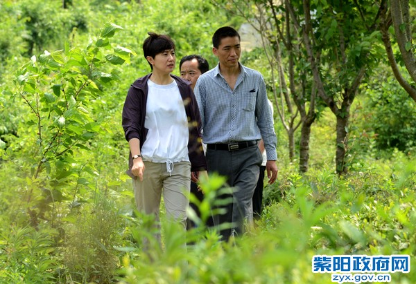 5月20日，在高桥镇裴坝村调研美丽乡村建设.jpg