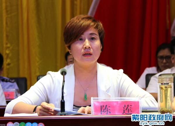 陈县长讲话特写.jpg