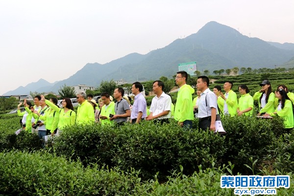 IMG_1154_副本.jpg