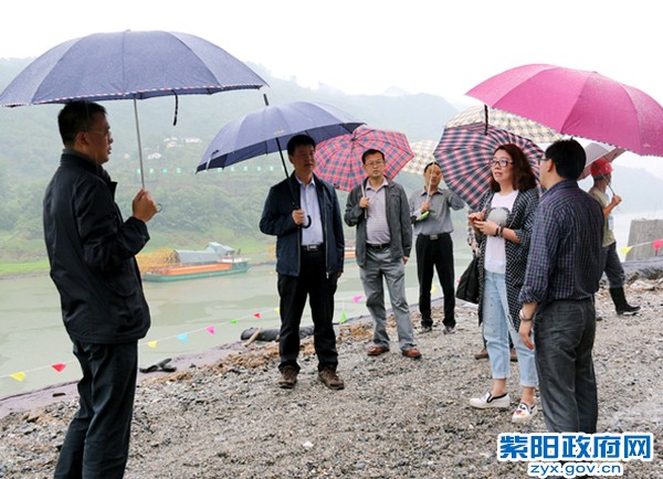 照片 110.jpg