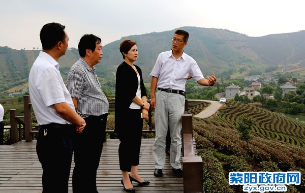 考察安吉白茶小镇建设.jpg