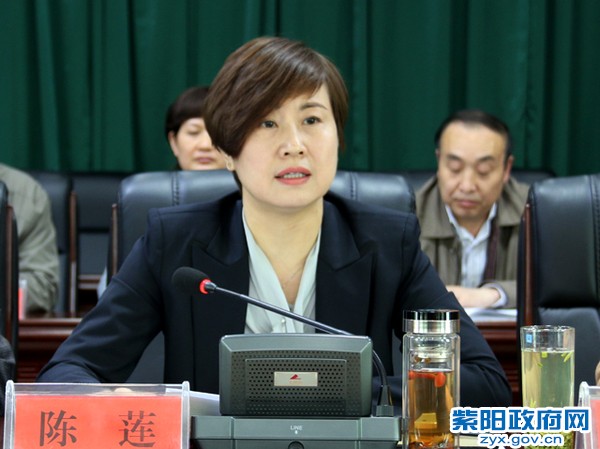 陈县长讲话特写.jpg