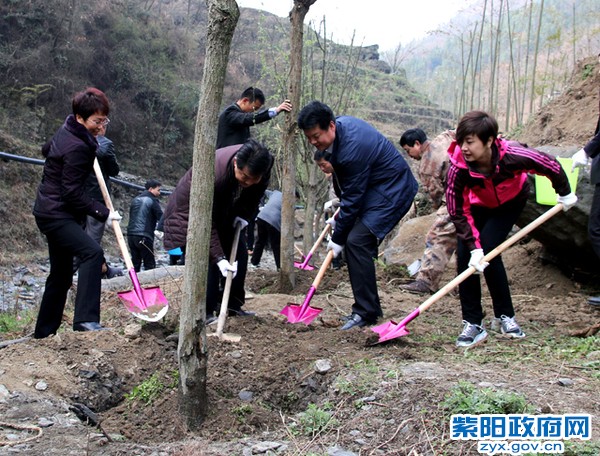 四大班子植树0.jpg