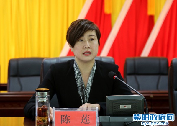 陈县长讲话.jpg
