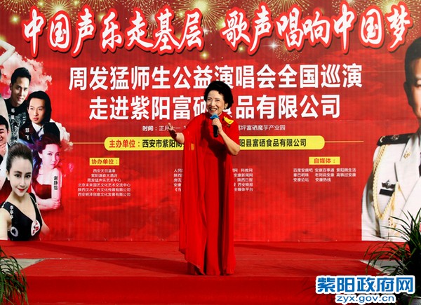 周发猛演唱会2.jpg