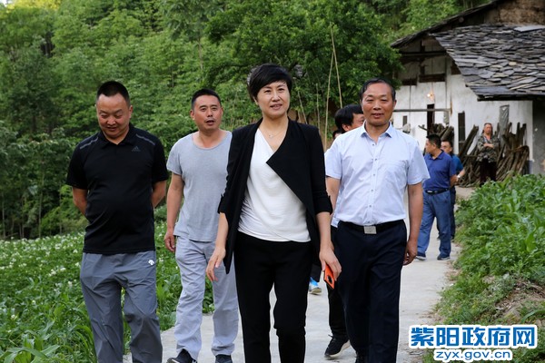 6月1日，在双桥镇六河村调研危房改造工作.jpg