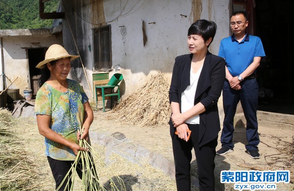6月1日，在双桥镇取宝村调研脱贫攻坚工作.jpg