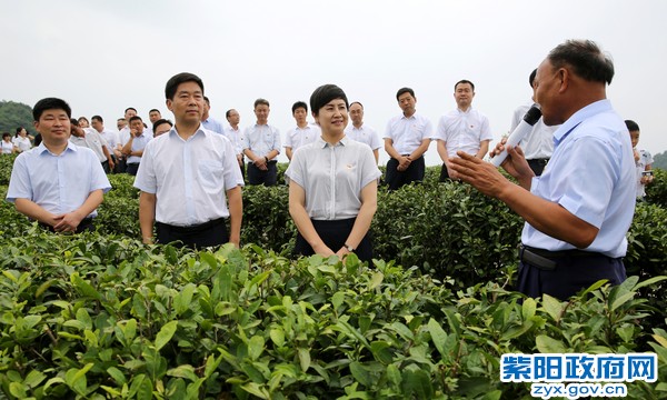 6月26日，在平利县老县镇蒋家坪村学习考察产业扶贫工作.jpg