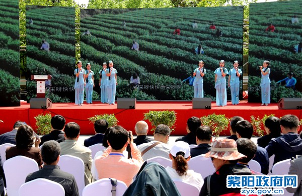 活动全景2.jpg
